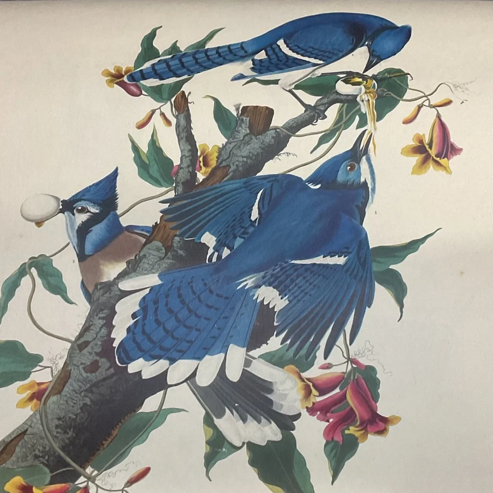 Blue and White Bird Art Calendar1946